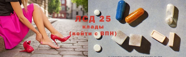 гашик Медногорск